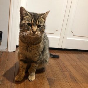 Meet your Posher, Lisa